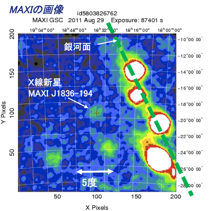 MAXIJ1836 MAXI image